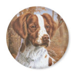 Brittany Spaniel magnets