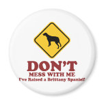 Brittany Spaniel magnets