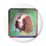 Brittany Spaniel magnets