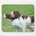 Brittany Spaniel mousepad