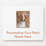 Brittany Spaniel mousepads