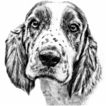 Brittany Spaniel Cut Outs