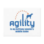Brittany Spaniel postcards