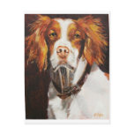 Brittany Spaniel postcards
