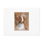 Brittany Spaniel postcards