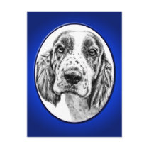 Brittany Spaniel Post Card