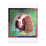 Brittany Spaniel postcards