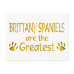 Brittany Spaniel postcards