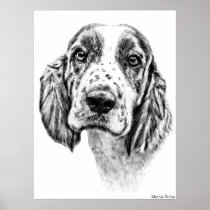 Brittany Spaniel Posters