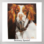 Brittany Spaniel Poster posters