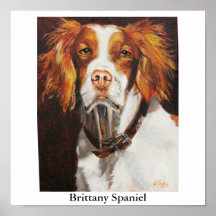 Brittany Spaniel Poster