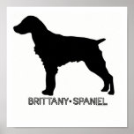 Brittany Spaniel Print