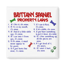 BRITTANY SPANIEL Property Laws 2