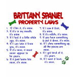 BRITTANY SPANIEL Property Laws 2 t-shirts