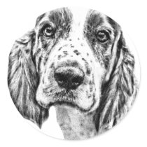 Brittany Spaniel Sticker