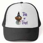 Brittany Spaniel Trick hats