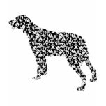 Brittany Spaniel t-shirts