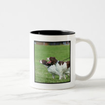 Brittany Spaniels mug