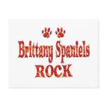 Brittany Spaniels Rock postcards