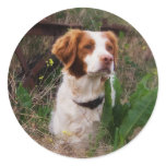 Brittany stickers