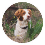 Brittany stickers