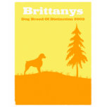 Brittany t-shirts
