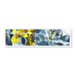 Brittlebush Encelia Farinosa bumper stickers