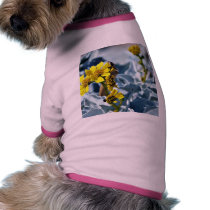 Brittlebush Encelia Farinosa Dog Clothing
