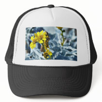 Brittlebush Encelia Farinosa Mesh Hats