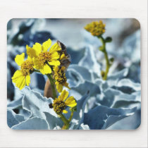 Brittlebush Encelia Farinosa Mouse Mat
