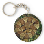 Broad-banded copperhead keychains