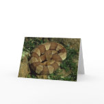 broad-banded copperhead snake greeting card