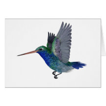 Broad Billed Hummingbird Greeting Card