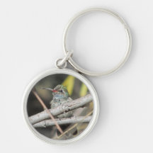 Broad-billed Hummingbird Keychain