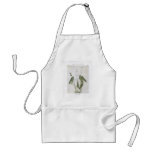 Broad-Leaved Arrowhead - Sagittaria latifolia aprons