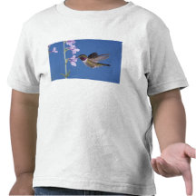 Broad-tailed Hummingbird, Selasphorus T-shirts