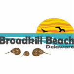 Broadkill Beach. photo sculptures