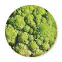 Brocco Flower Vegetable magnets