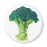 Broccoli Magnet
