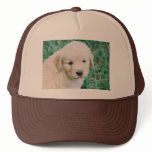 Brody Mack Ball Cap hats