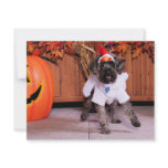 Brody - YorkiePoo - Justin and Erin invitations