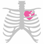 Broken Heart in Ribcage photo sculptures