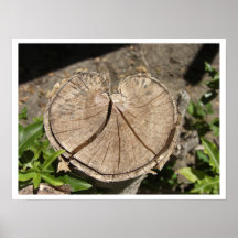 Broken Heart Tree Posters