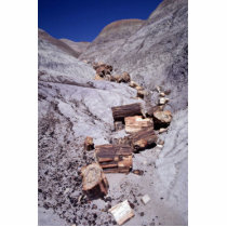 Broken logs, Petrified Forest National Park, Arizo Cut Out