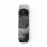 broken skateboards