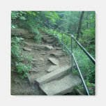 Broken Steps Fall Creek Falls Tennessee Magnet
