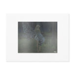 BrokenWings postcards