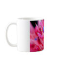 Bromeliad mugs