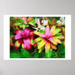 Bromeliad, Oil painting, Tropical Collection Print