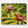 Bromeliads Mouse Pads